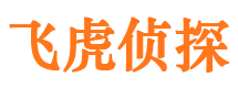 宁江市侦探公司